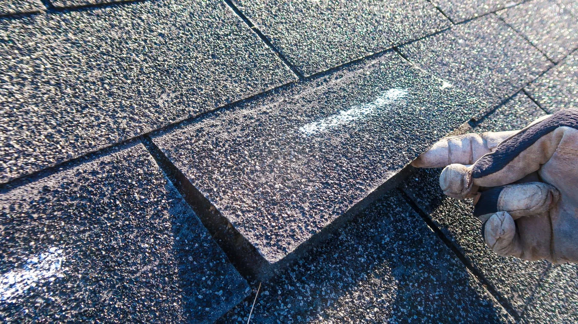 Roofing inspector assessing shingle condition and attic ventilation during a free inspection
