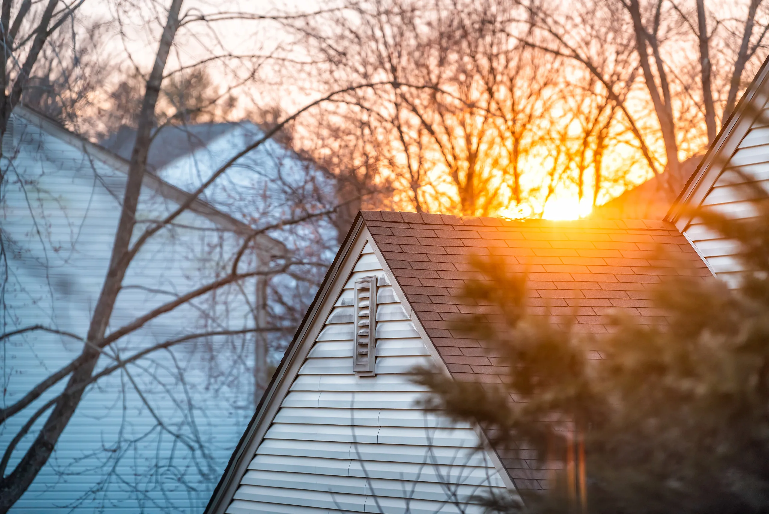 Asphalt shingle gable roofs at sunset, bare winter trees behind them