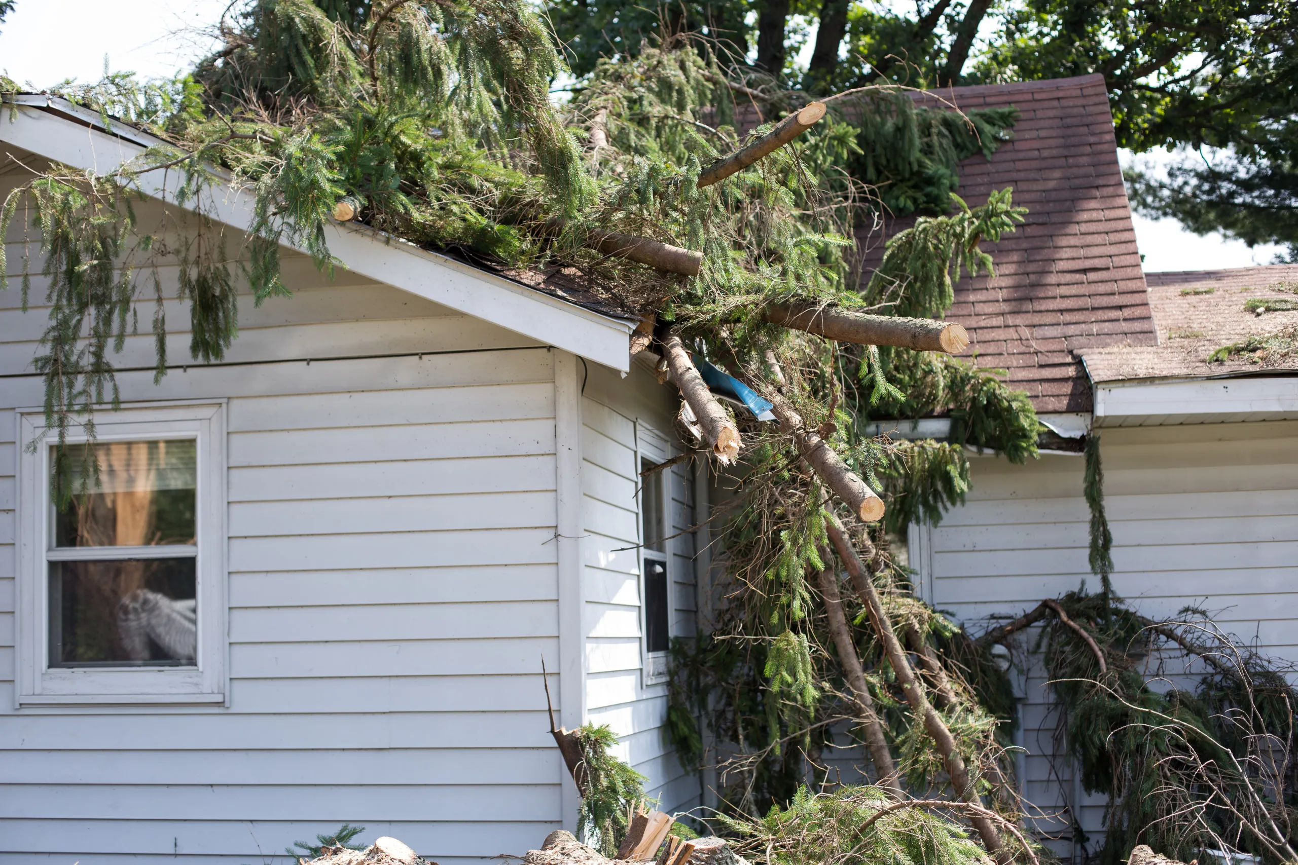 Fallen tree limbs resting across a damaged roof edge and gutter