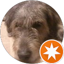 Jason R. profile picture